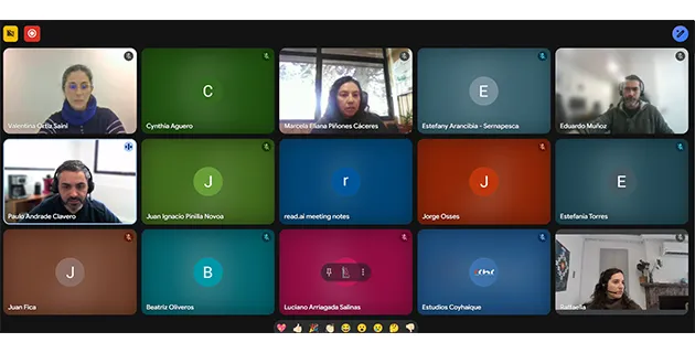 Parrilla de la videollamada con los quince participantes de la capacitación.